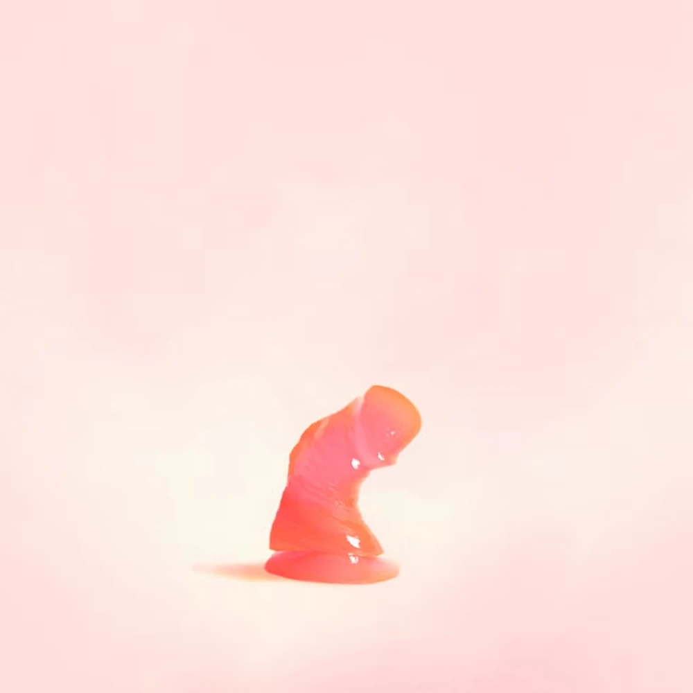 Форми членів