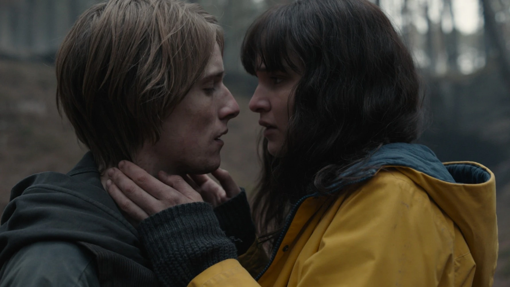 5 серіалів, які сподобаються фанатам «Дивних див»