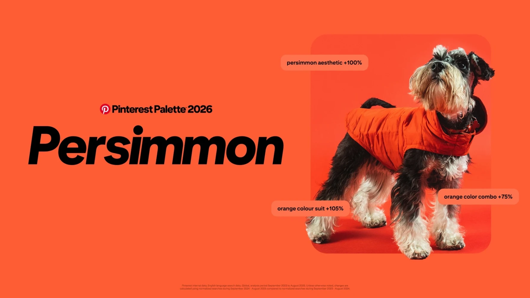 Palette 2026: трендові кольори року