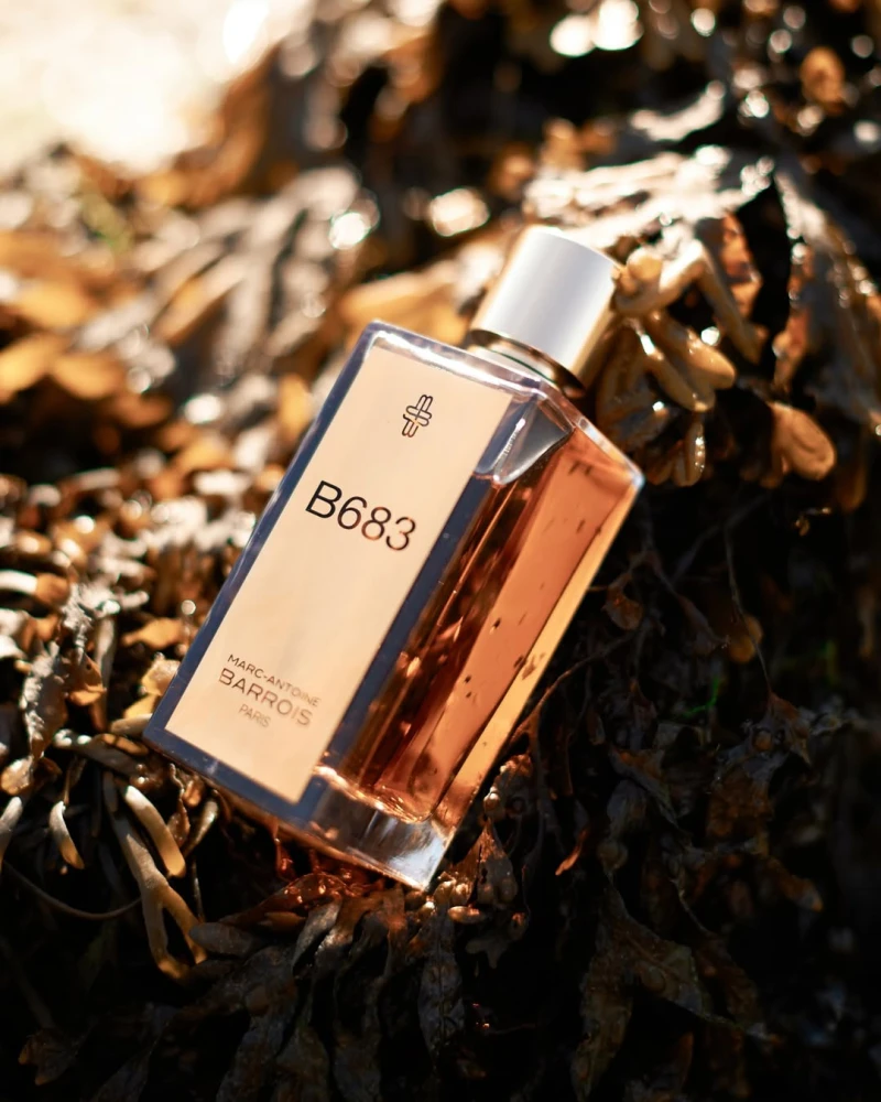 Marc-Antoine Barrois B683