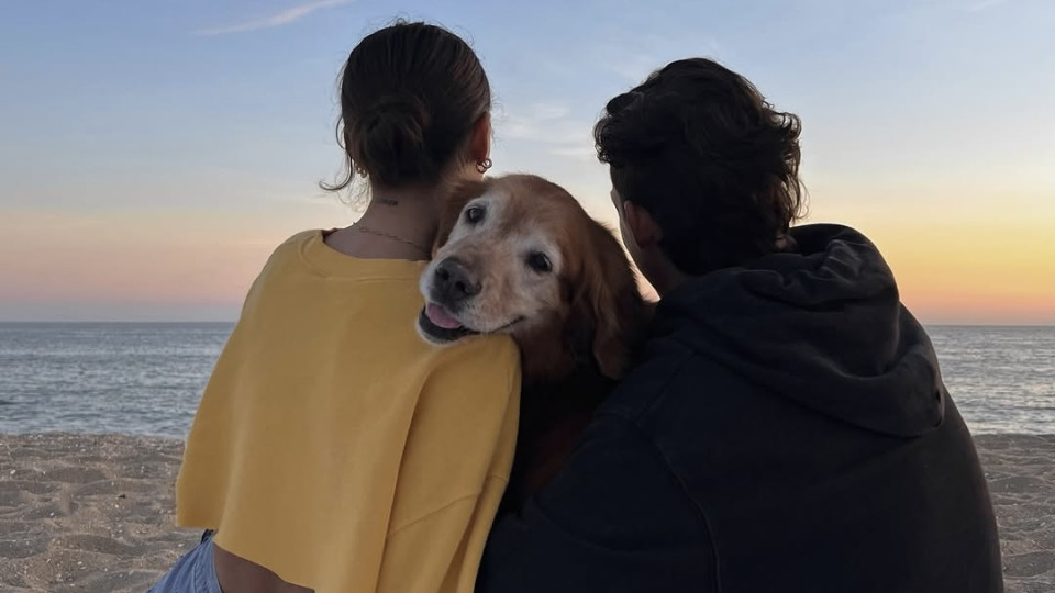 5 правил щасливих і міцних стосунків — розповідають експерти 