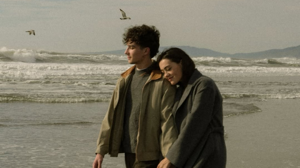 Як зрозуміти, що він тебе справді любить: усе про Bird Theory, яка завірусилася у TikTok 