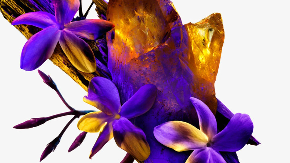 Як подовжити стійкість парфумів, щоб вони трималися цілий день: 6 способів