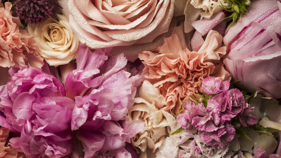 Як подовжити стійкість парфумів, щоб вони трималися цілий день: 6 способів