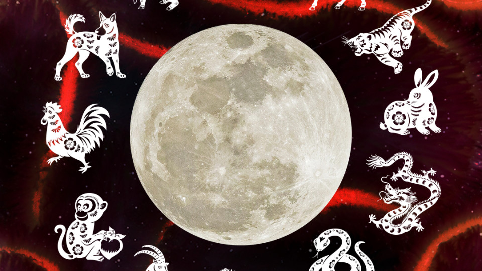 Хто ти за китайським гороскопом? Повний гід знаками зодіаку та стихіями