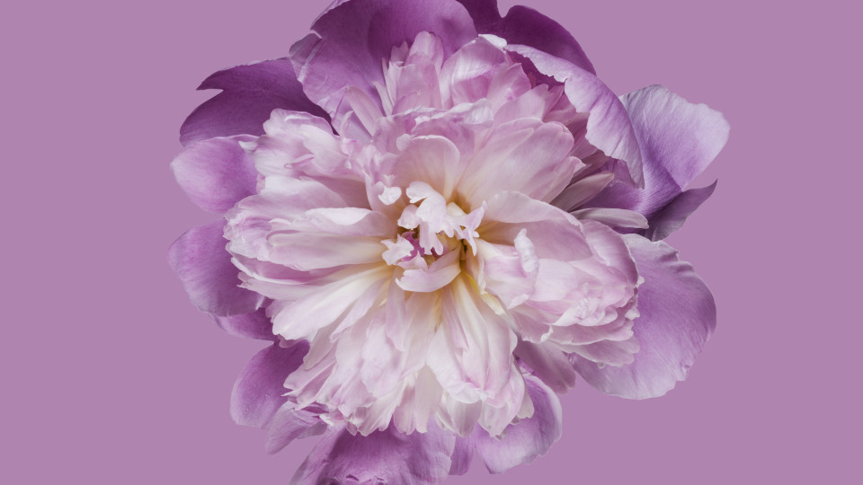 Секрети жіночності та сексуальності: 10 неочікуваних відкриттів