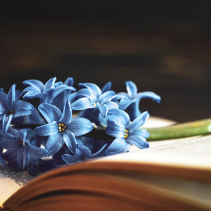 7 книжок, які допомагають пережити втрату 