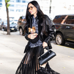 Як Крістен Стюарт, Ріанна, Демі Мур та інші зірки носять шкірянки цього сезону 