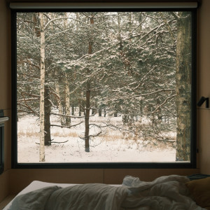 Соло-подорож як турбота про себе: тиша і перезавантаження в УЛІС. Дудки