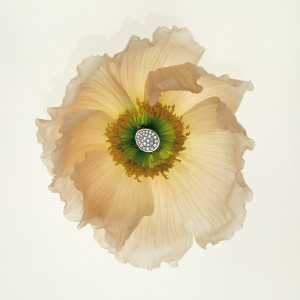 У wish-list: нова книга про українське ювелірне мистецтво від Creative Publishing