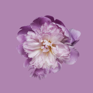 Секрети жіночності та сексуальності: 10 неочікуваних відкриттів